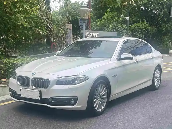 BMW 5 Series New Energy 2016