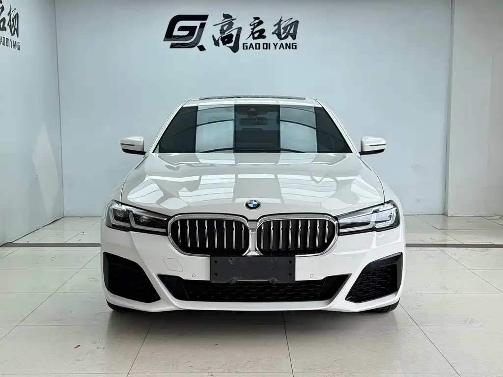 BMW 5 Series 2021