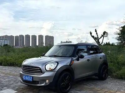 MINI MINI 2012