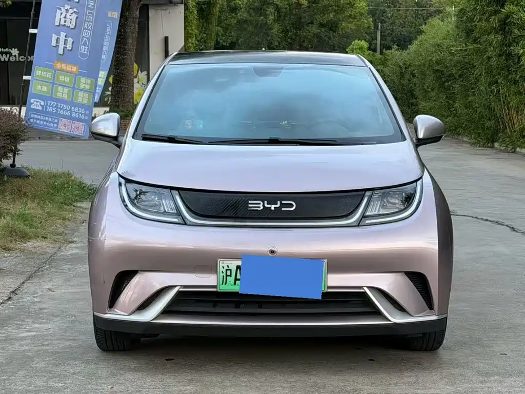 BYD Dolphin 2022