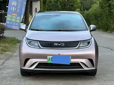 BYD Dolphin 2022