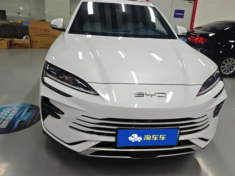 BYD PLUS New Energy 2024 — фото 2