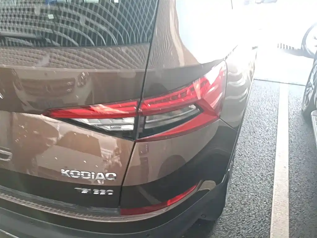 Skoda Kodiaq 2019 — фото 8