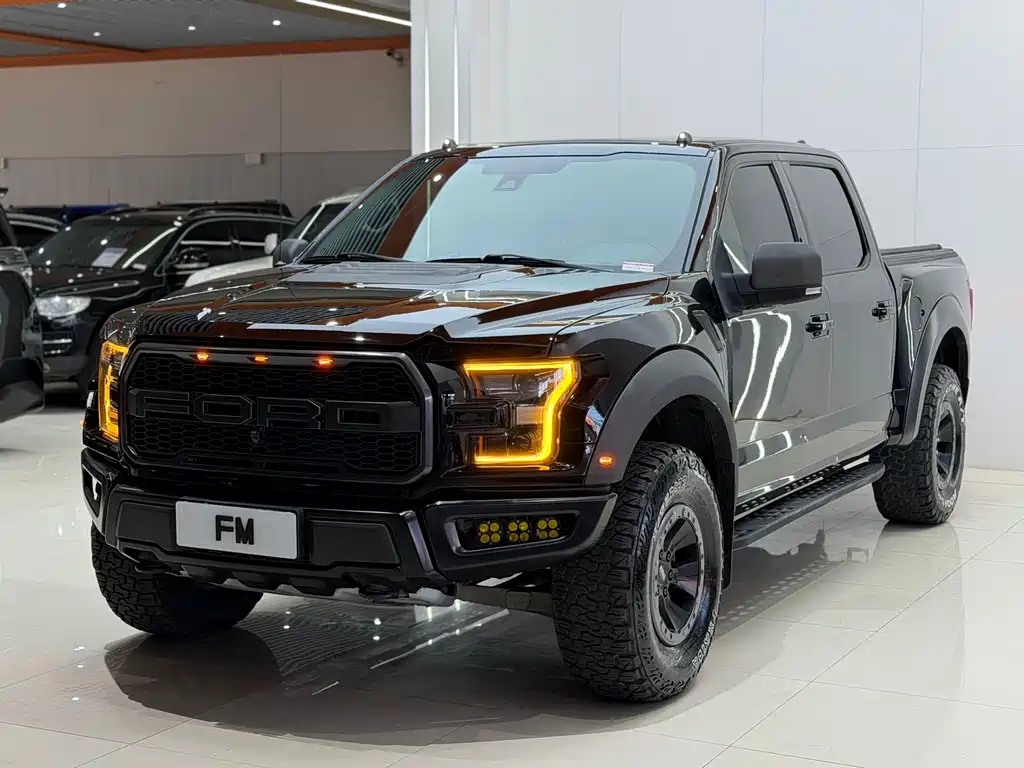 Ford F-150 Raptor 2017 — фото 2