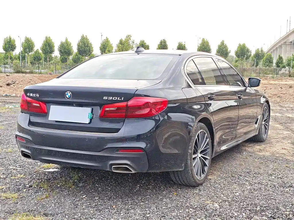 BMW 5 Series 2020 — фото 10