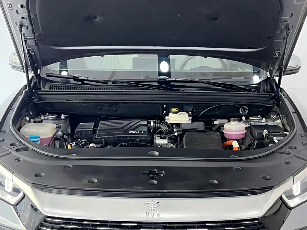 BYD Pro New Energy 2023 — фото 4