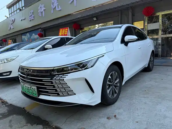 BYD Destroyer 05 2024