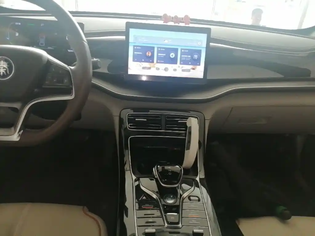 BYD Qin PLUS 2024 — фото 13