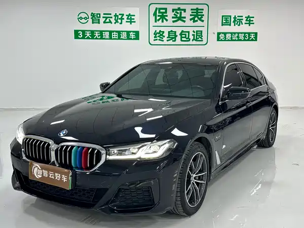 BMW 5 Series New Energy 2022