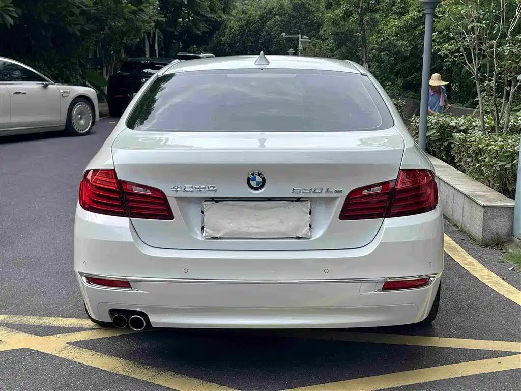BMW 5 Series New Energy 2016