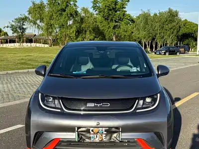 BYD Dolphin 2021