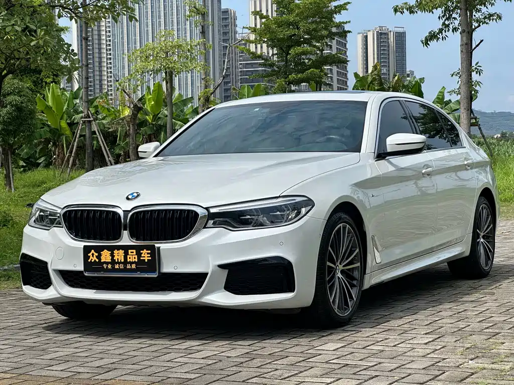 BMW 5 Series 2020 — фото 1