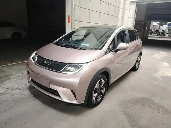 BYD Dolphin 2024
