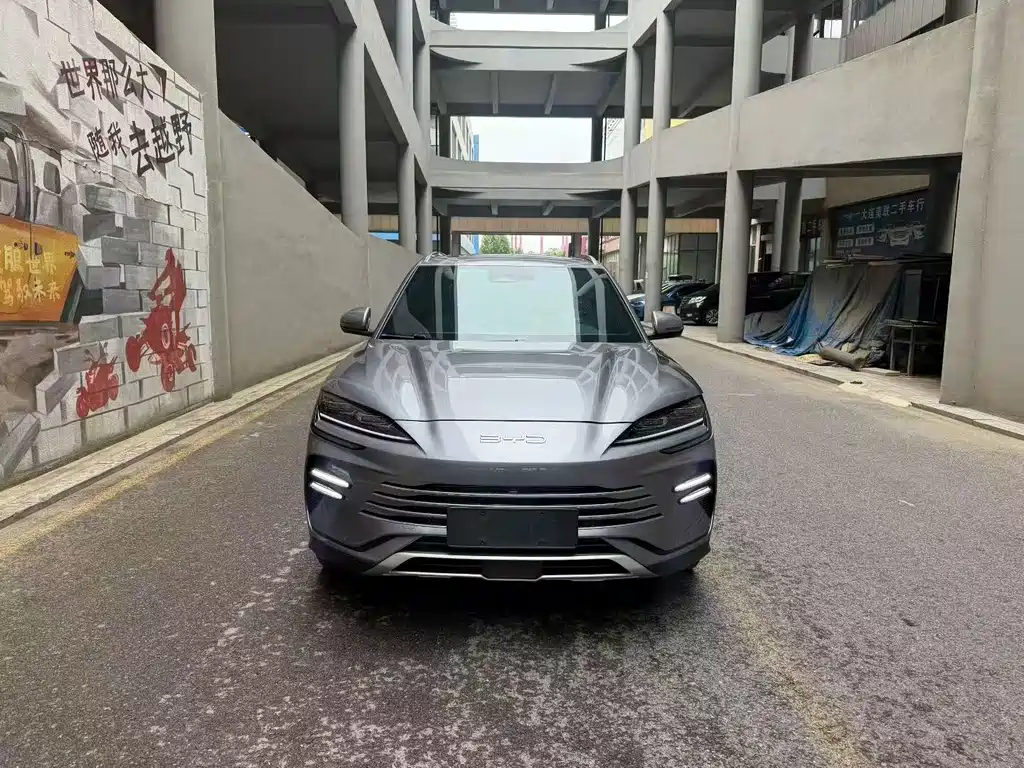 BYD Song PLUS New Energy 2023 — фото 2