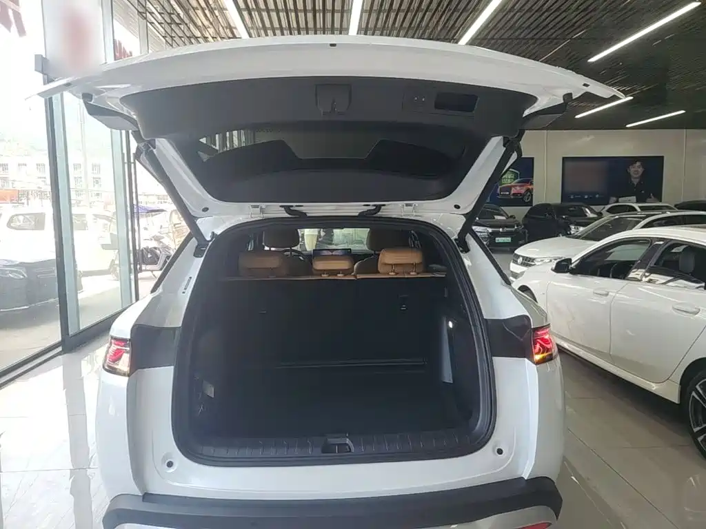 BYD L DM-i 2025 — фото 19