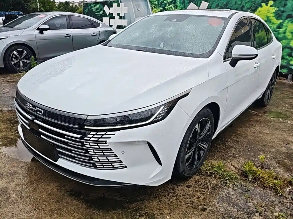 BYD Destroyer 05 2022 — фото 2