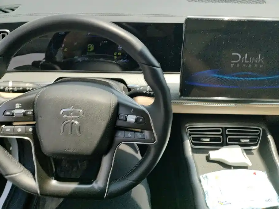 BYD Song Pro New Energy 2025 — фото 12