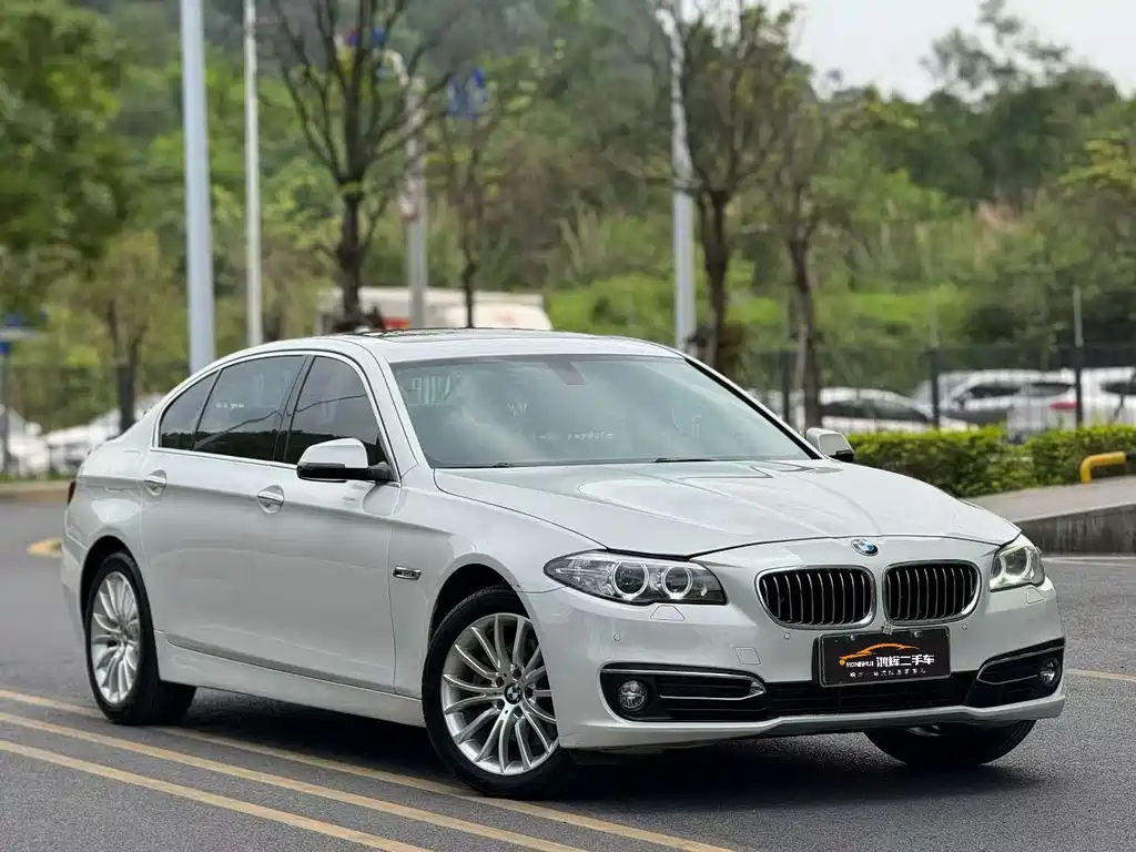 BMW 5 Series 2015 — фото 3