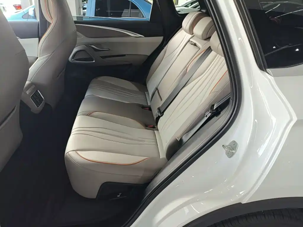 BYD Song Pro New Energy 2024 — фото 17