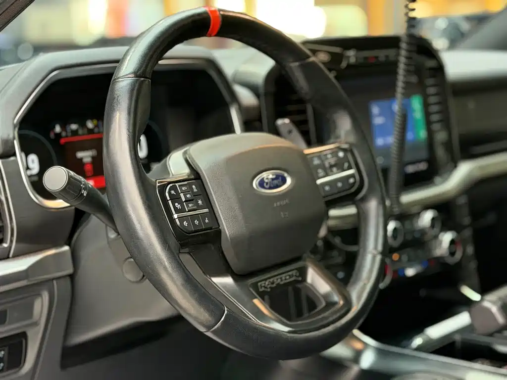 Ford F-150 Raptor 2024 — фото 6