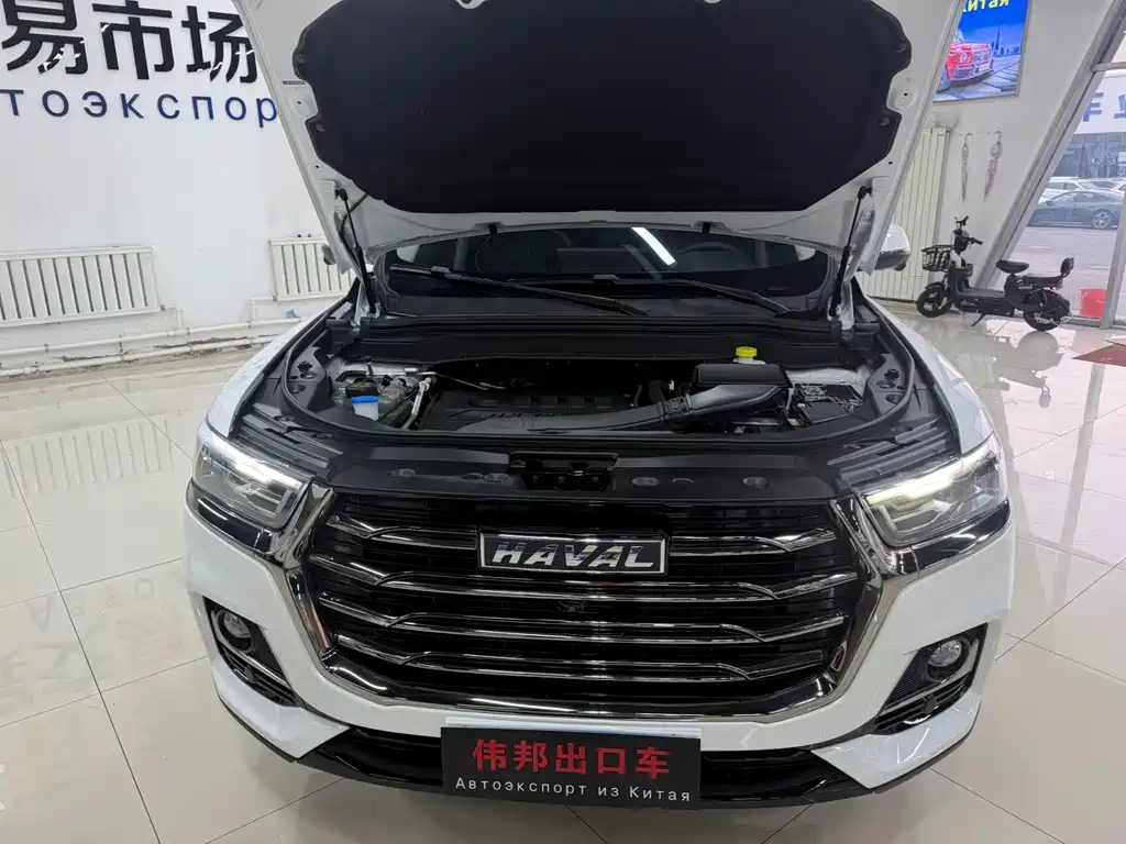 Haval H6 2023 — фото 20