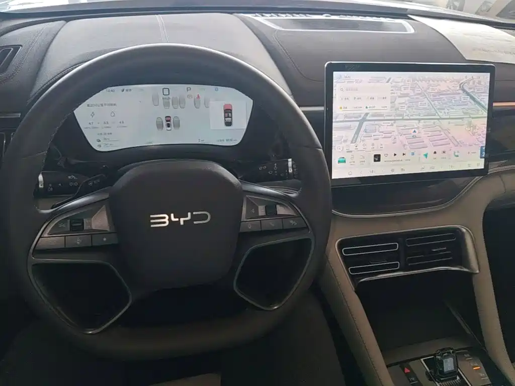 BYD PLUS New Energy 2025 — фото 10