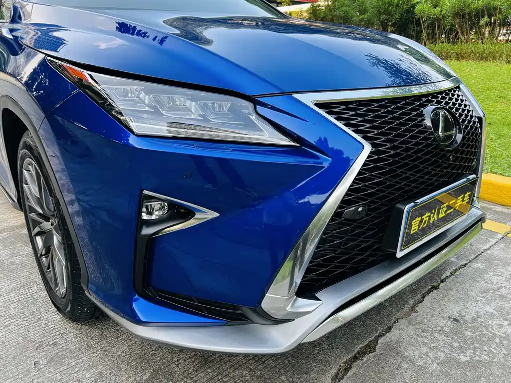 Lexus RX 2019 — фото 19
