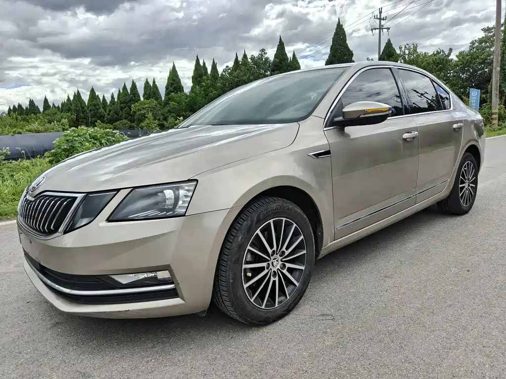 Skoda Octavia 2019 — фото 2