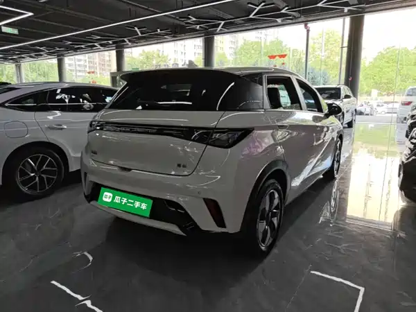 BYD Dolphin 2024