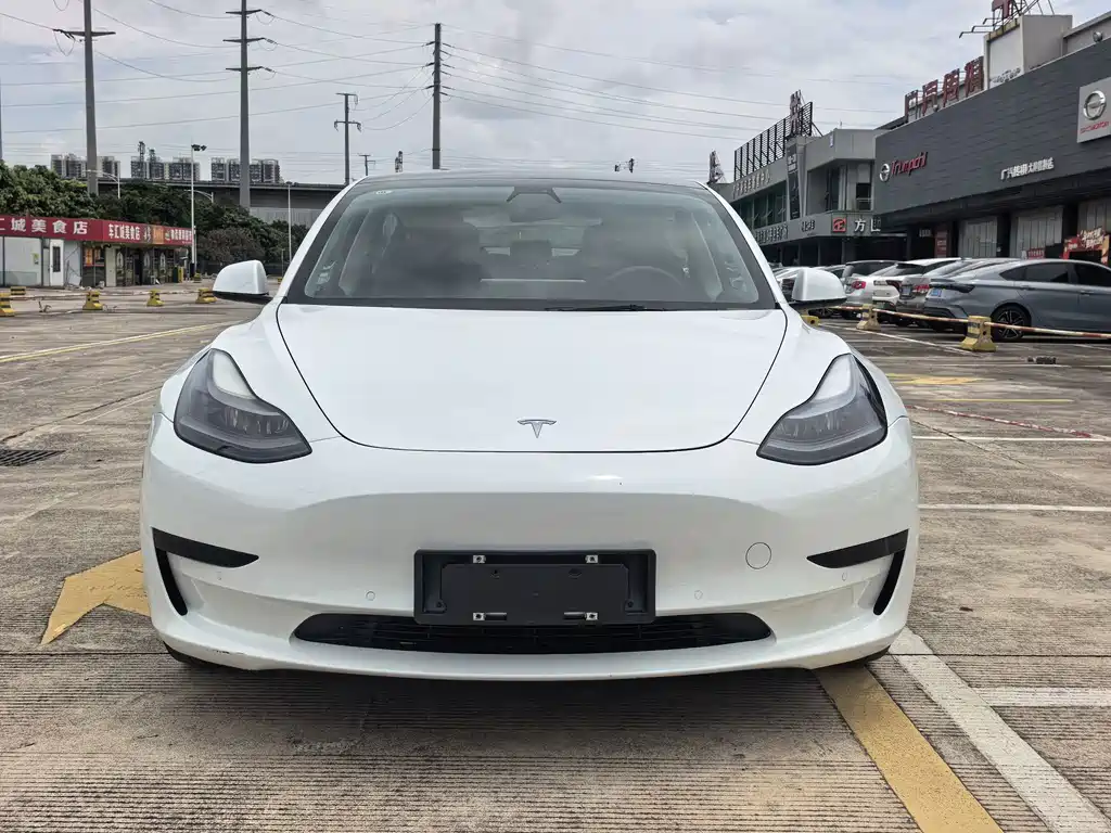 Tesla Model 3 2021 — фото 2