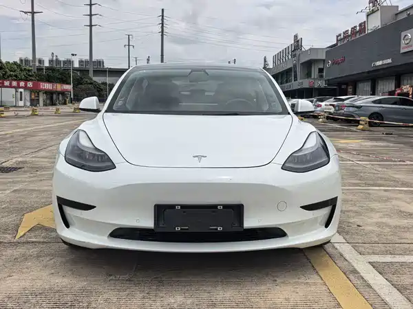 Tesla Model 3 2021
