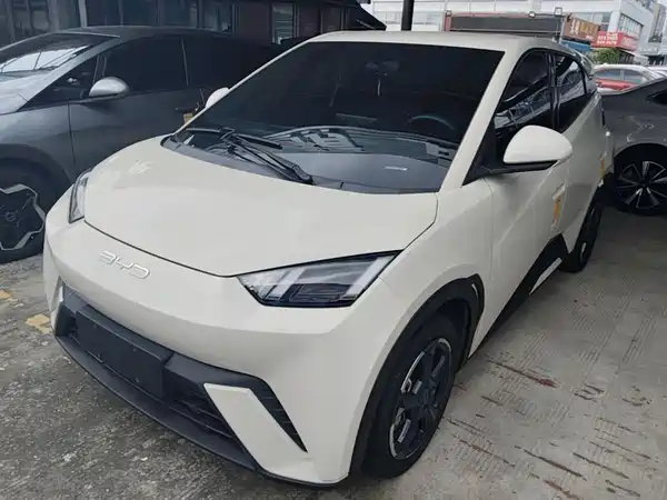 BYD Seagull 2024