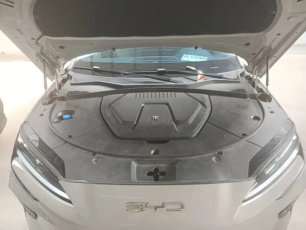 BYD PLUS New Energy 2024 — фото 20