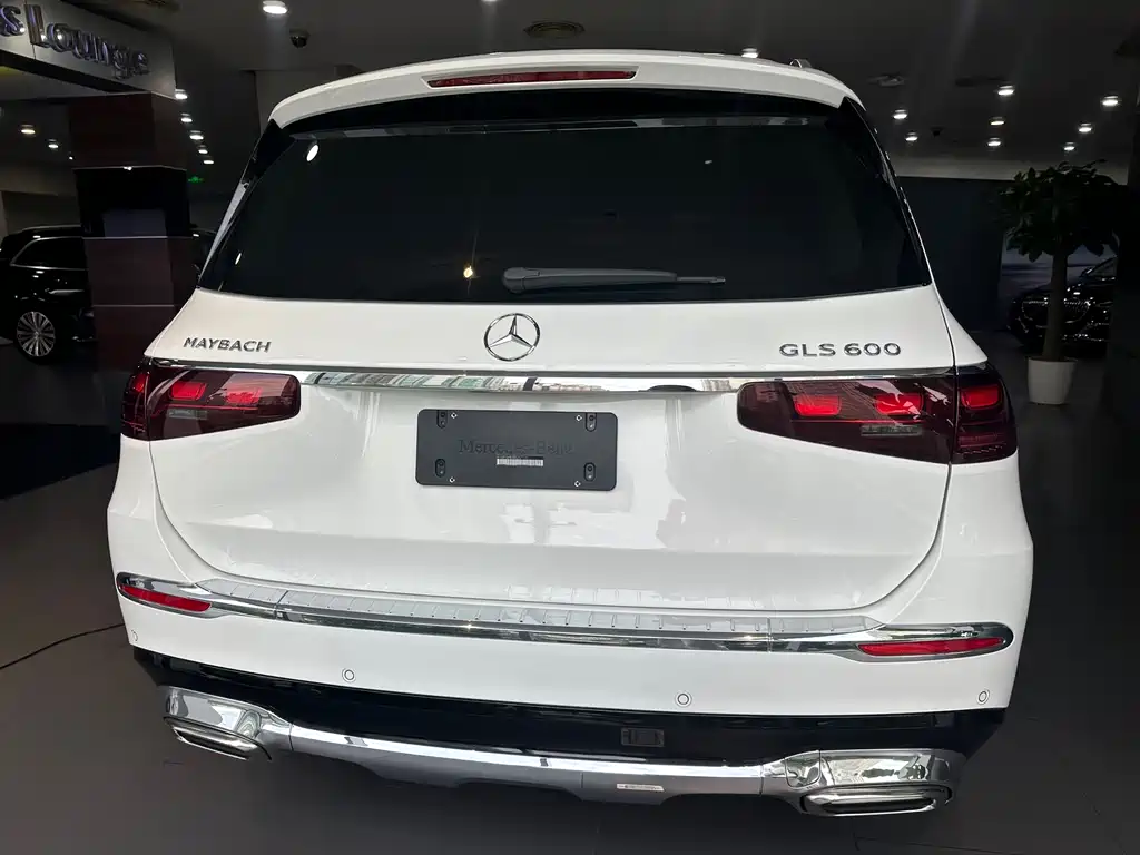 Mercedes-Benz GLS — фото 13
