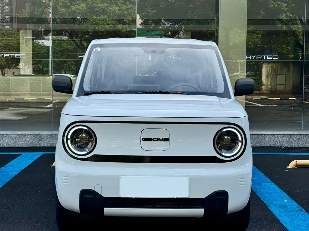 Geely Galaxy Panda 2024 — фото 2