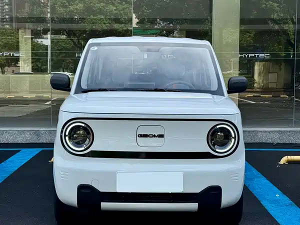 Geely Galaxy Panda 2024