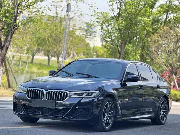 BMW 5 Series New Energy 2021