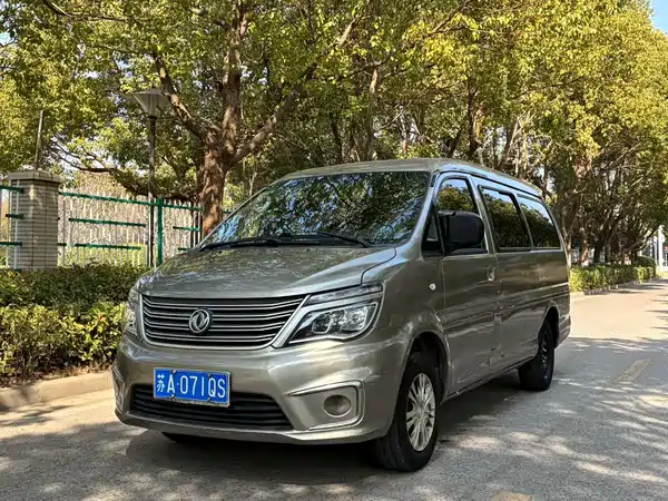 Dongfeng Lingzhi 2019