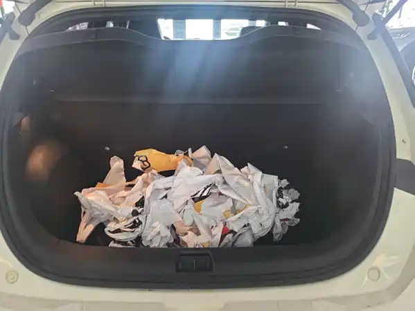 BYD Dolphin 2024