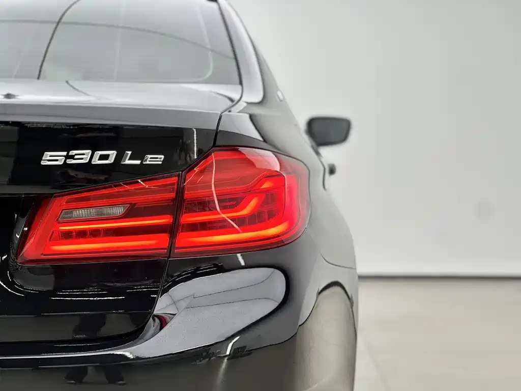 BMW 5 Series New Energy 2019 — фото 14