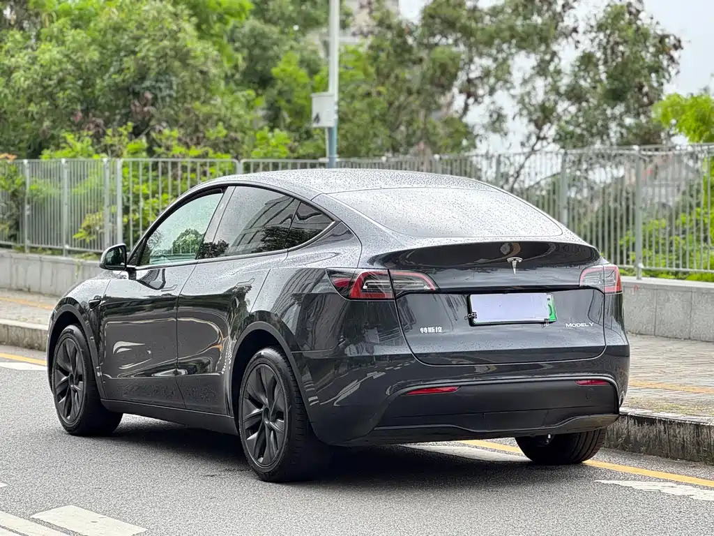 Tesla Model Y 2024 — фото 4