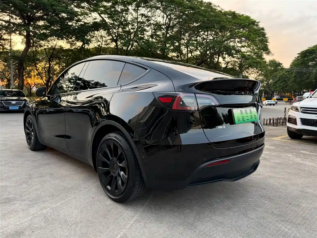 Tesla Model Y 2023 — фото 6