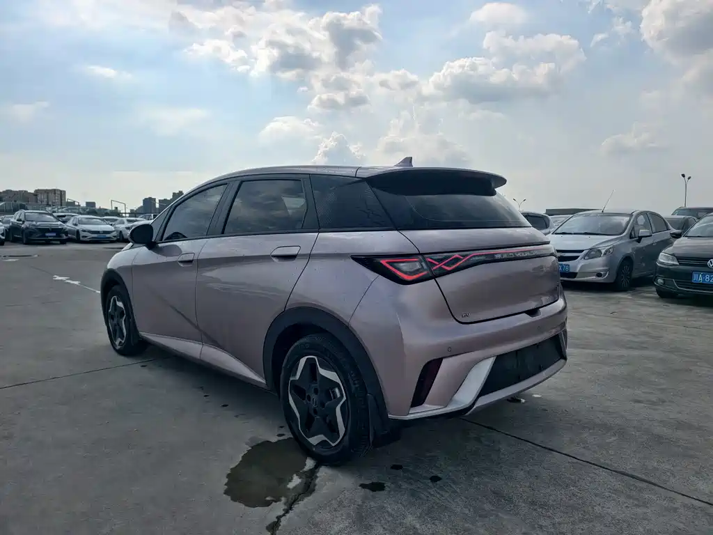 BYD Dolphin 2022