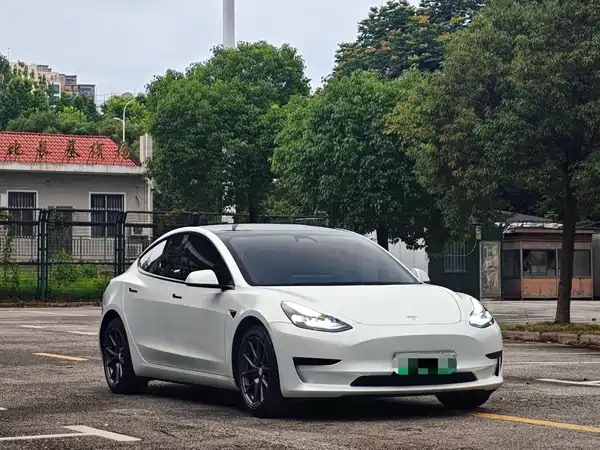 Tesla Model 3 2021