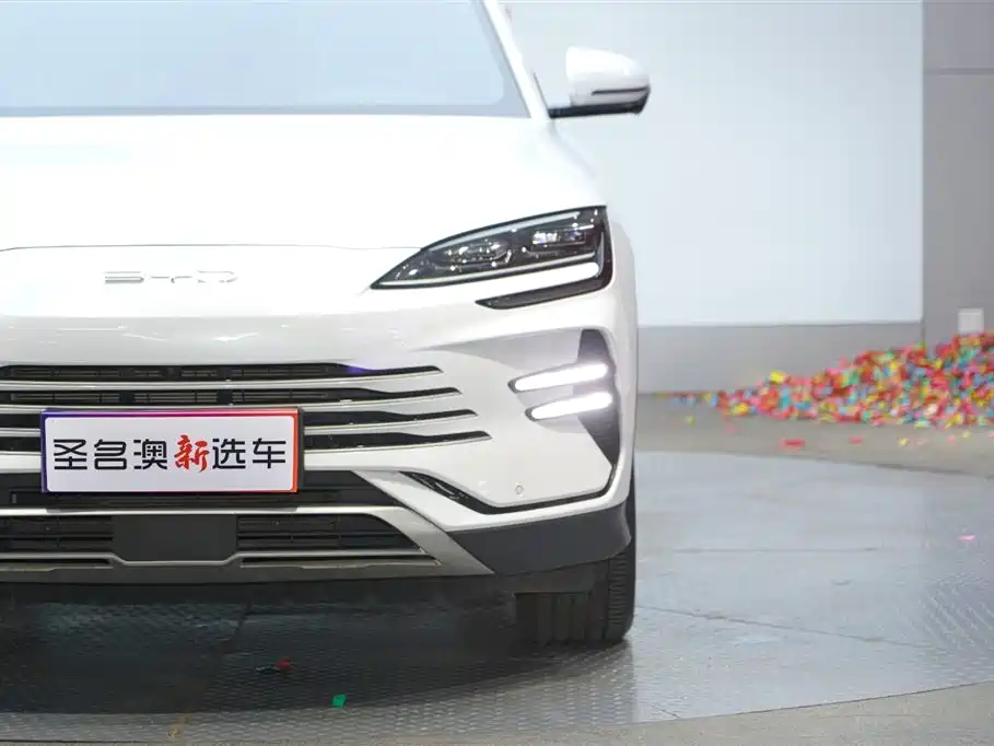 BYD PLUS New Energy 2023 — фото 2