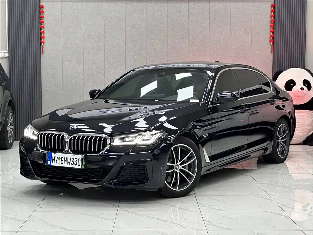 BMW 5 Series New Energy 2023