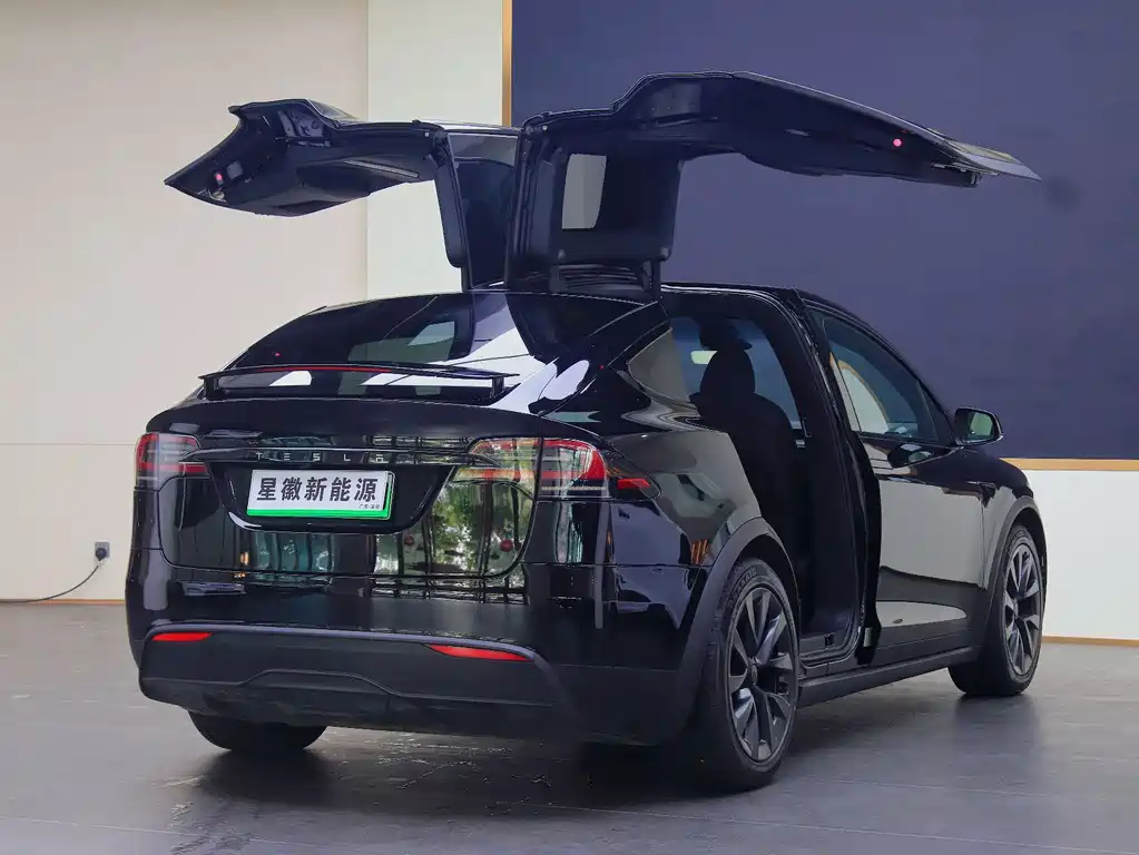 Tesla Model X 2023 — фото 18