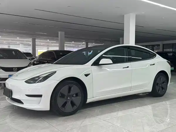 Tesla Model 3 2021