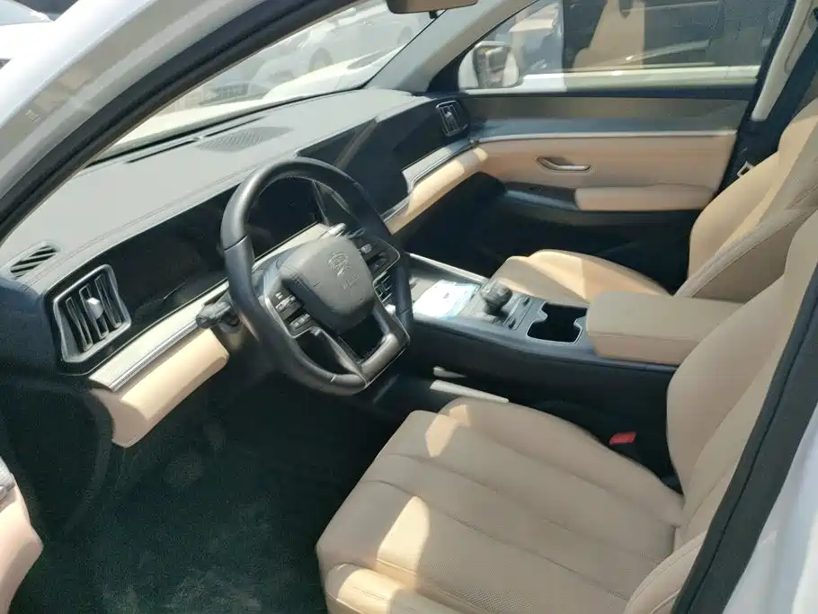 BYD Song Pro New Energy 2025 — фото 9