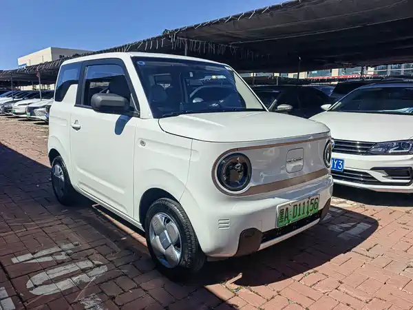 Geely Galaxy Panda 2024